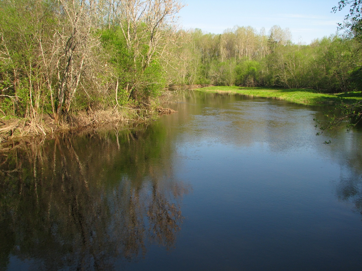 Spring by the Pedja River in Alam-Pedja