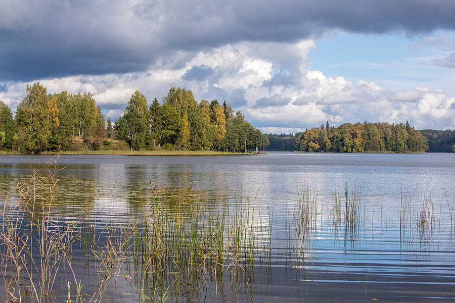 Sügisene päikseline vaade üle peegelsileda järvevee metsase vastaskalda suunas. Järvepeeglil on näha peegeldumas puude siluetid ja üksikud rünkpilved.