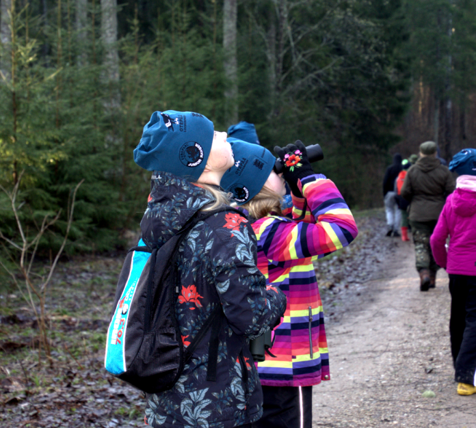 lapsed vaatlemas binokliga metsas