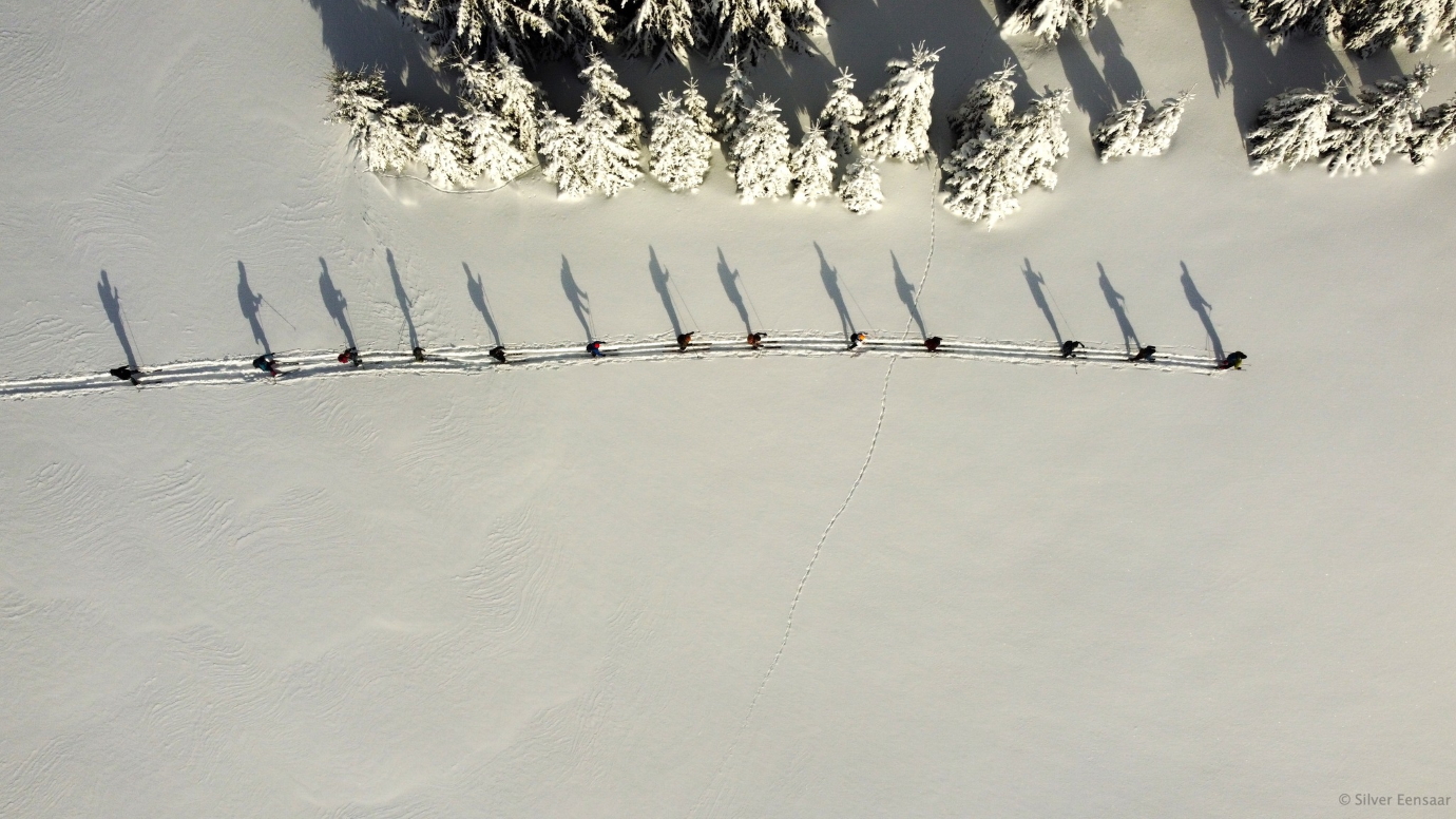 Vaade ülevalt alla: suusatajad liiguvad pikas rivis suuskadega üle lumise heinamaa, nende kõrval on pikad varjud madalast päikesest.