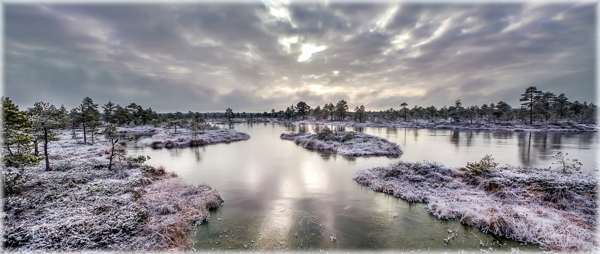 A view of a snowy frozen marshland.