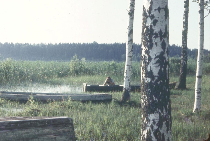 Järve ääres on mõned puupaadid ja ühes paadis inimene, kaldal valged kasetüved