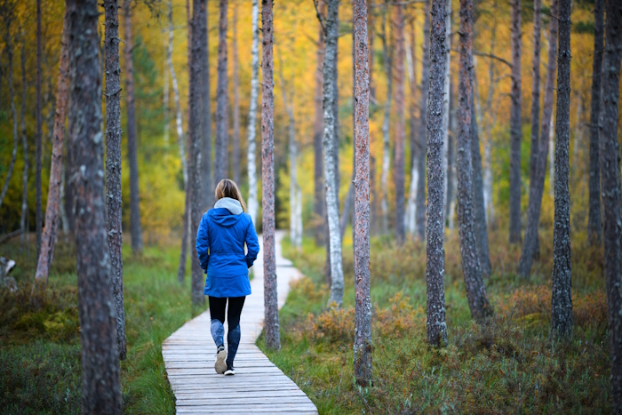 inimene kõnnib metsas laudteel