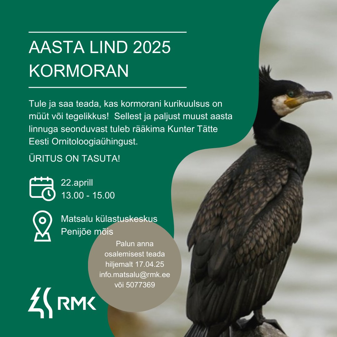 aasta lind on kormoran