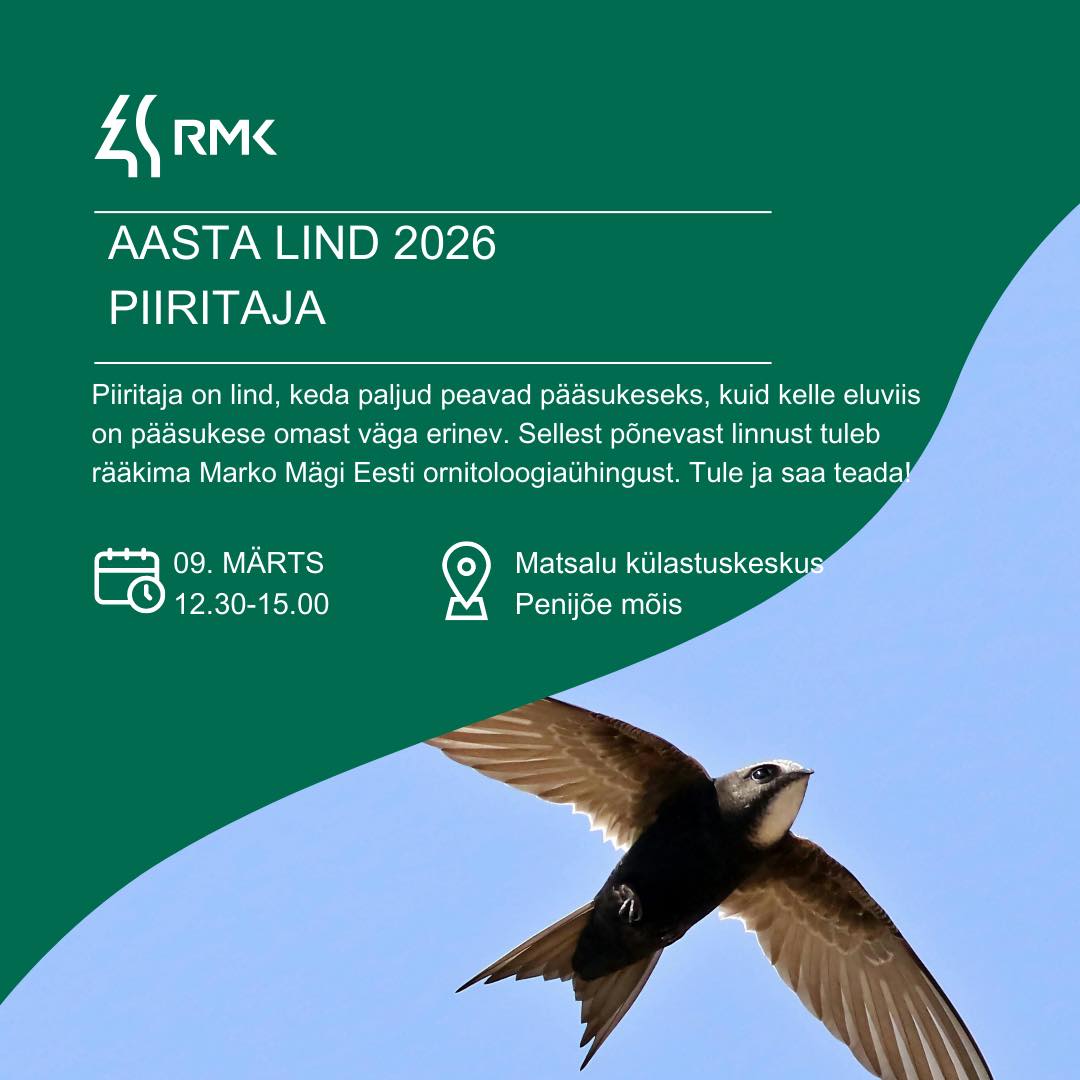 aasta lind piiritaja