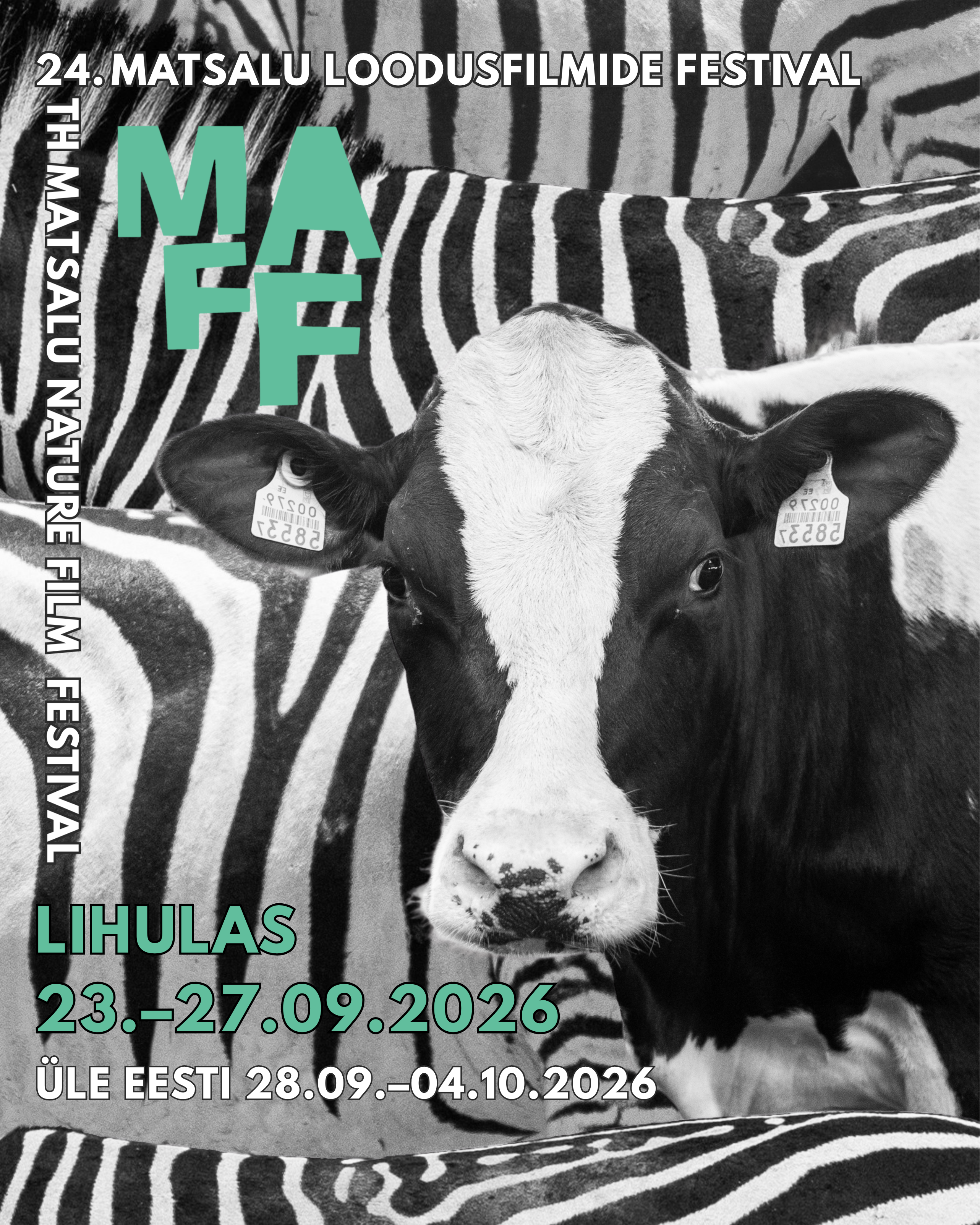 festivali plakatil on lehm