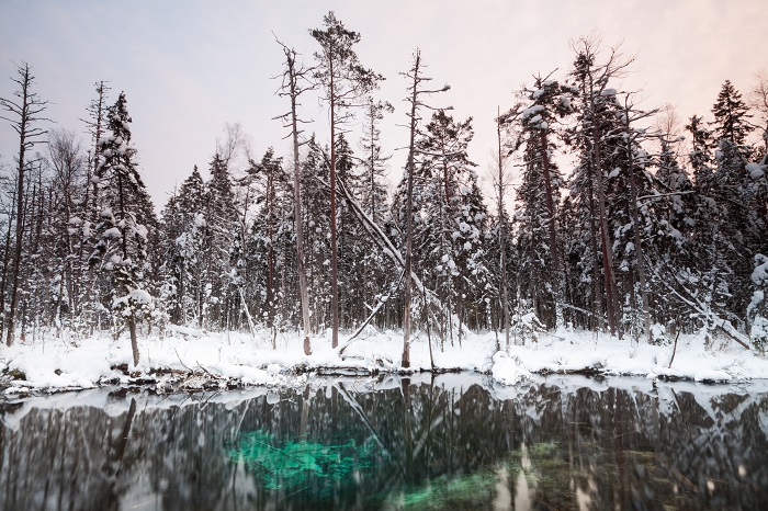 В чистом потоке реки Вылинги находится синий источник Вильбасте, обрывистый зимний лес