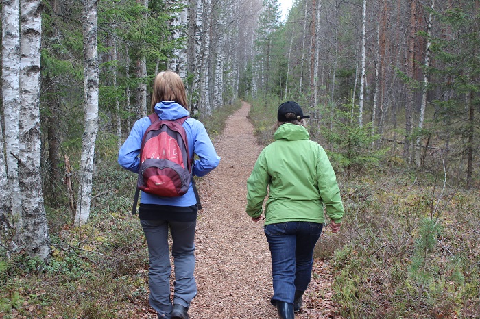 hikers in spring walking in forest