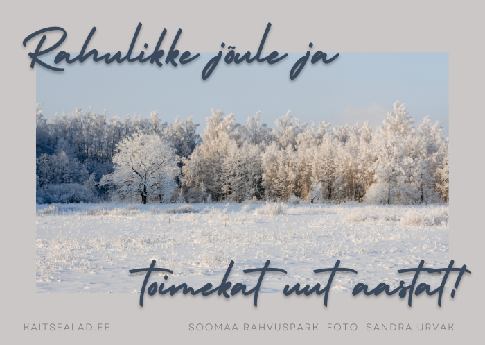 Lumine härmas kaunis maastik, puud on kaetud kui suhkruvatiga