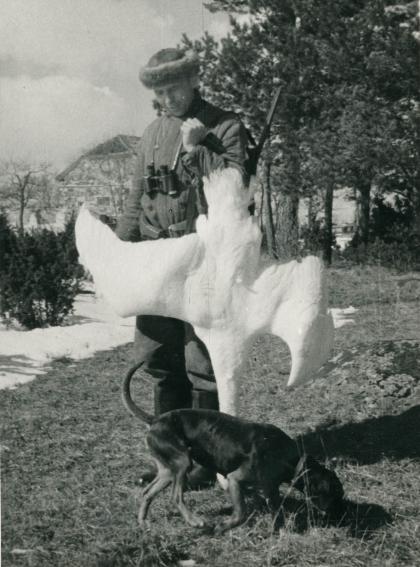 Elmar Savi koeraga