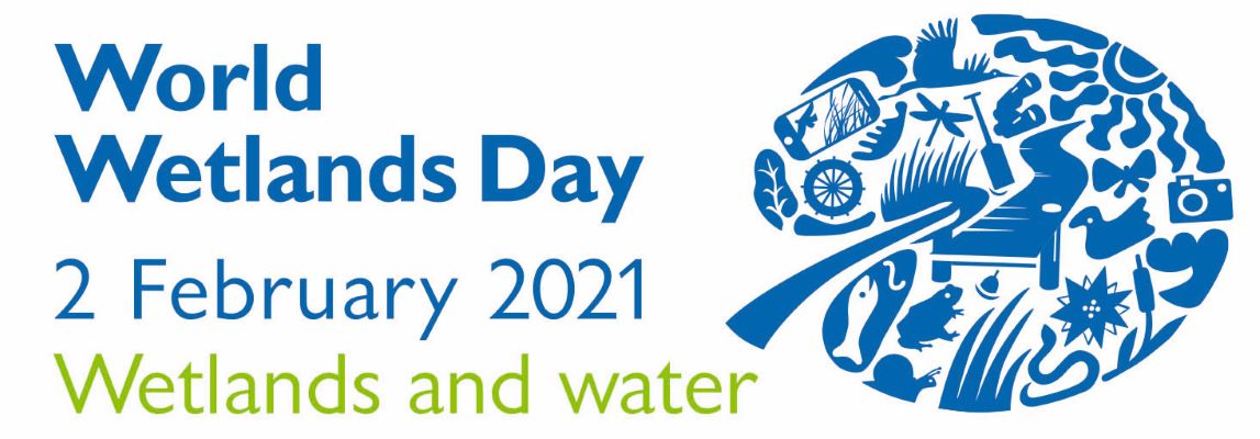 Logo of World Wetlands Day