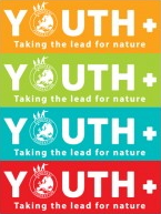 youth+ logo neli värvi