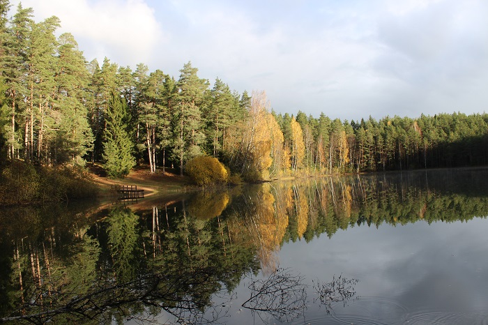 Lake Pesujärv in autumn