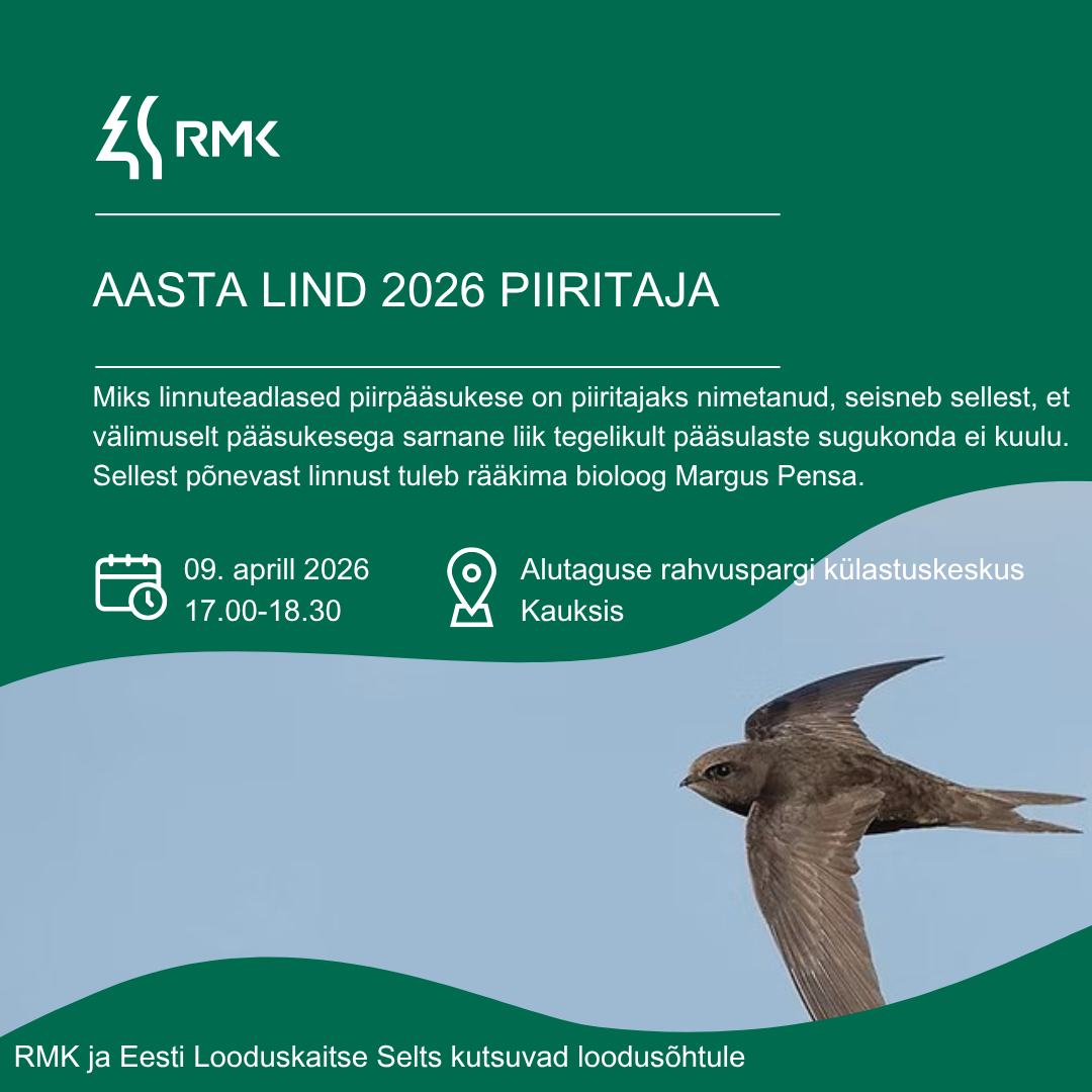 Plakat Aasta lind 2026 - piiritaja