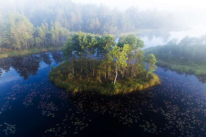 A small lake in natural landscape. In the middle of the lake is a round islet with short trees. 