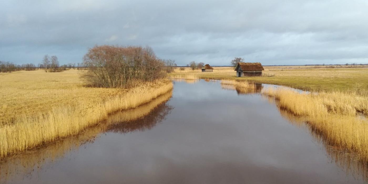 Suitsu jõgi