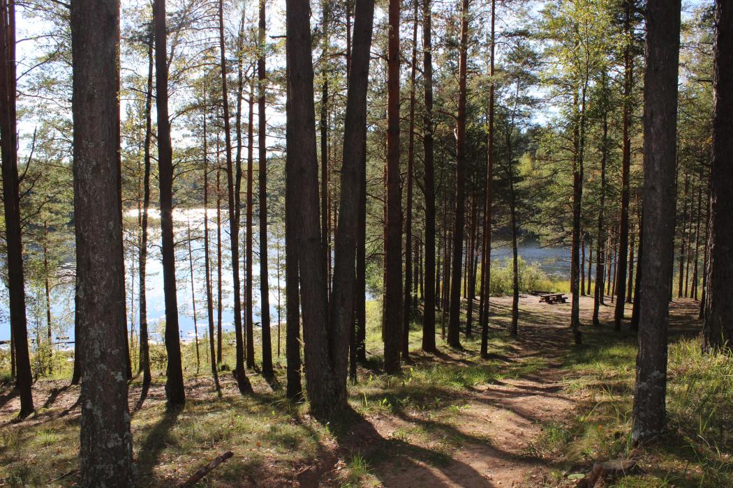 Ahne järv Kurtna maastikul