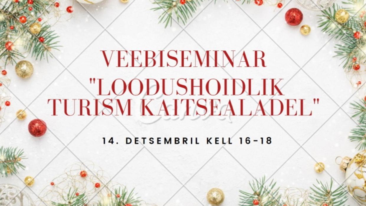 Turismiseminar veebis
