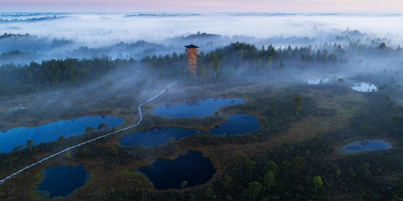 Misty morning in the Mukri bog, a lookout tower in the background. Karl Adami