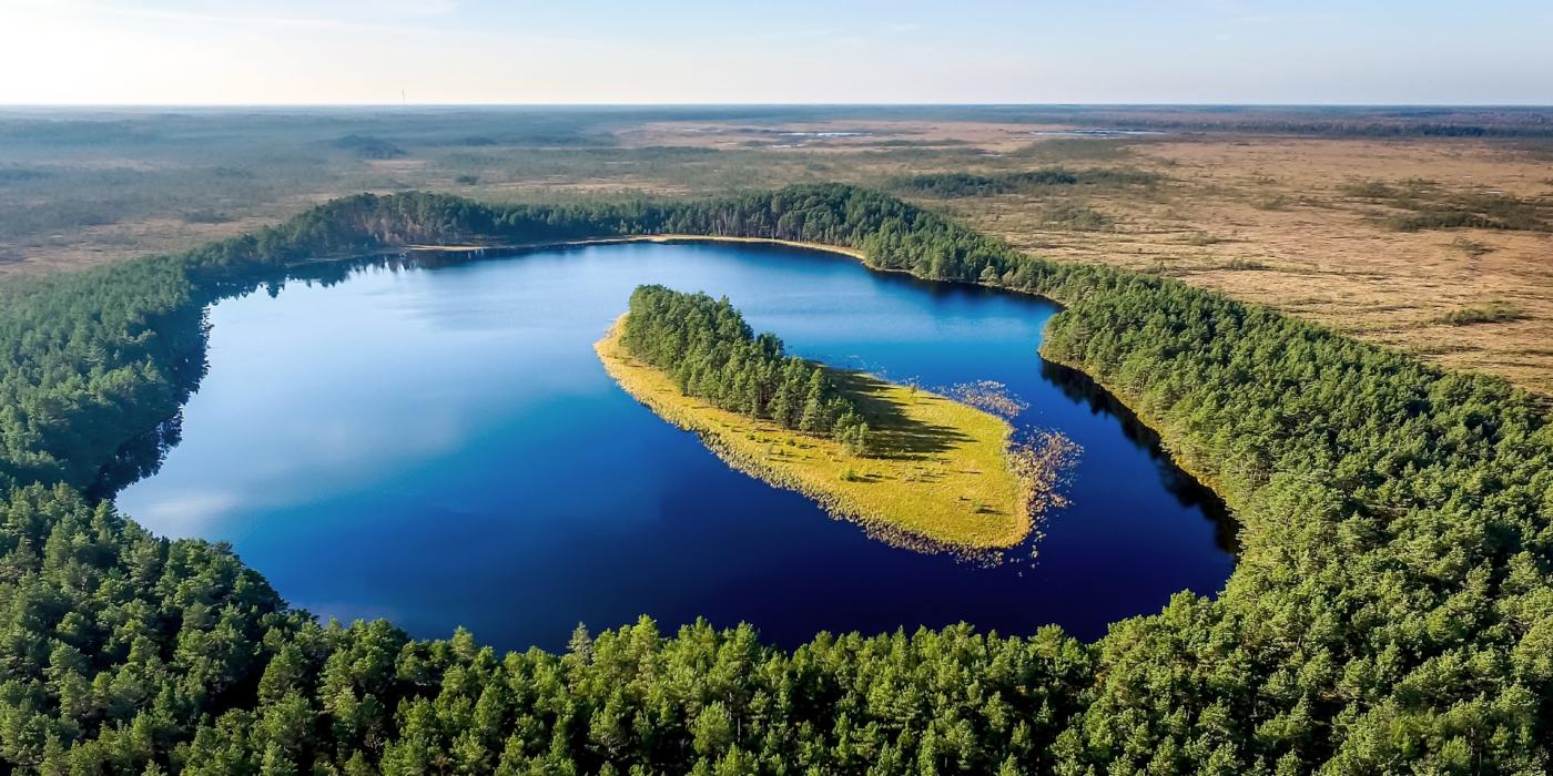 View of the oval-shaped island in the marsh lake.