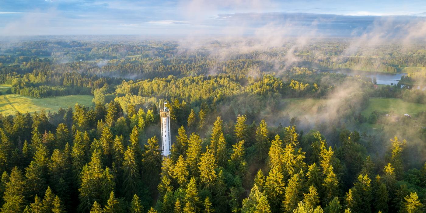 Suur Munamägi, the highest hill in Estonia in summer.