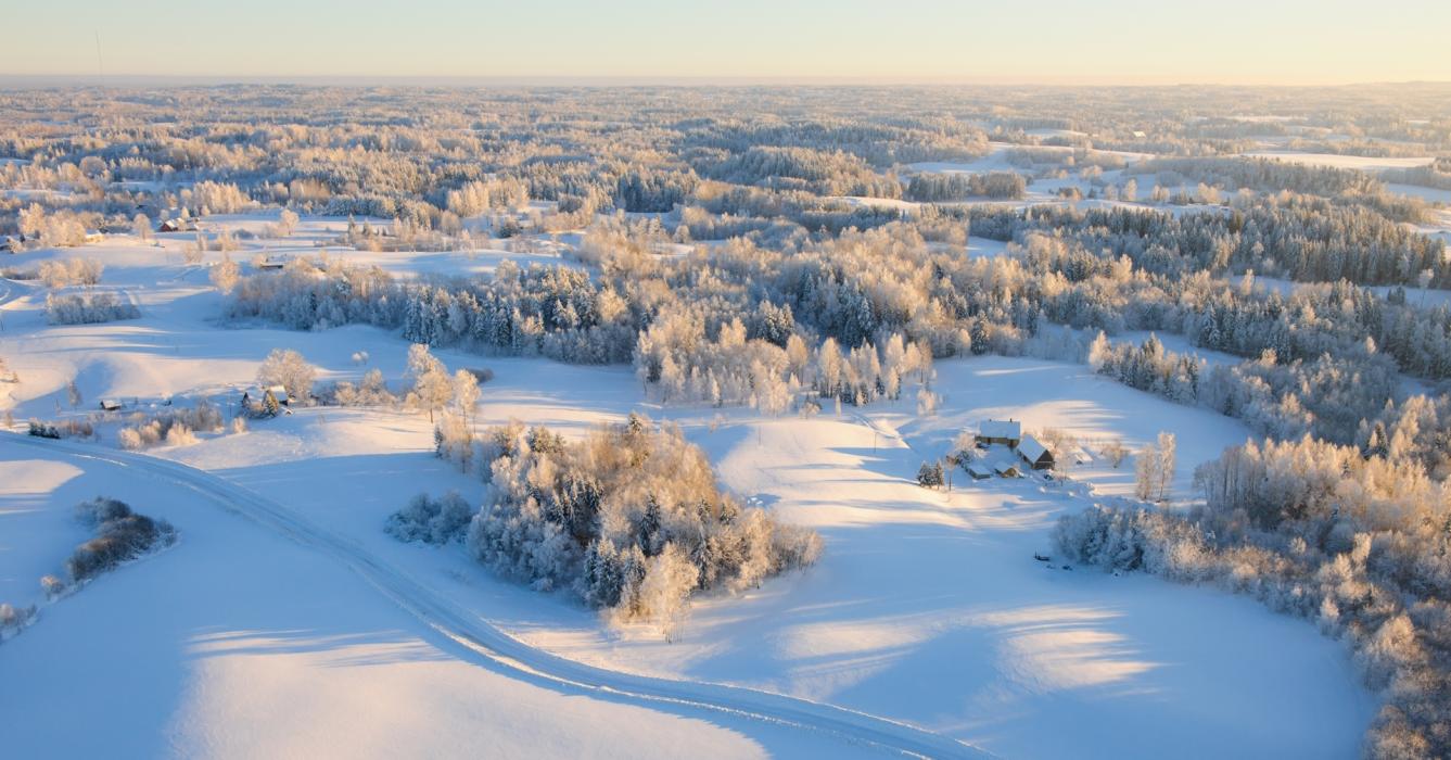Talvine kuppelmaastik: linnulennult näha sopilised põllud ja metsad üksiku talu ja ühe teega.