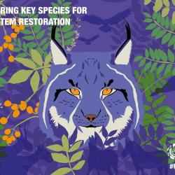 World wildlife day plakat 2022 ilvesega