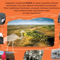Plakat tammelehega ja pealkirjaga Looduskaitsekuu 2022 "Püsiv ja muutuv Eesti looduses" 