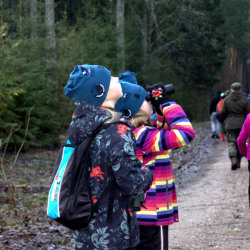 lapsed vaatlemas binokliga metsas