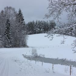 Lumine käänuline tee Karula rahvuspargis