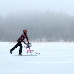 üksik naine sõidab soome kelguga järvejääl
