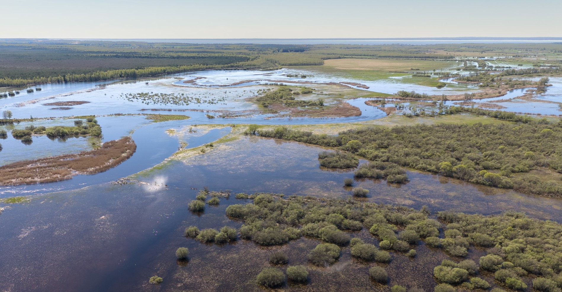 üleujutatud luhaala