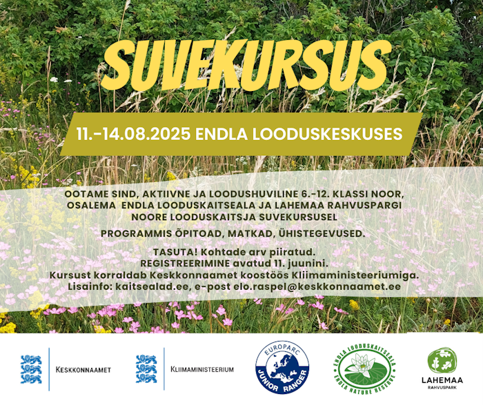 Plakat tekstiga suvekursus