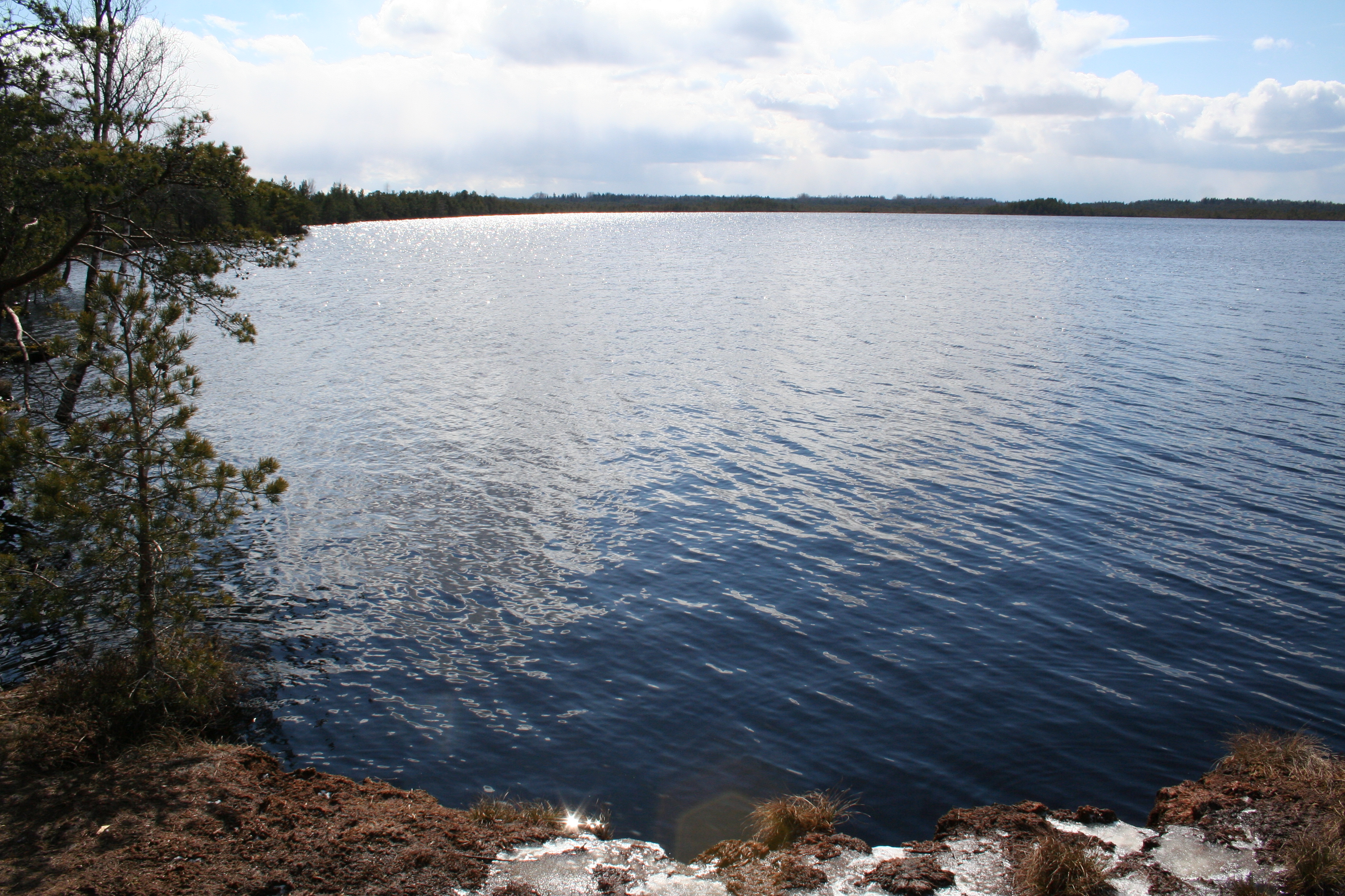 Eesti suurim rabajärv ‒ Loosalu järv. Foto: Anni Männil