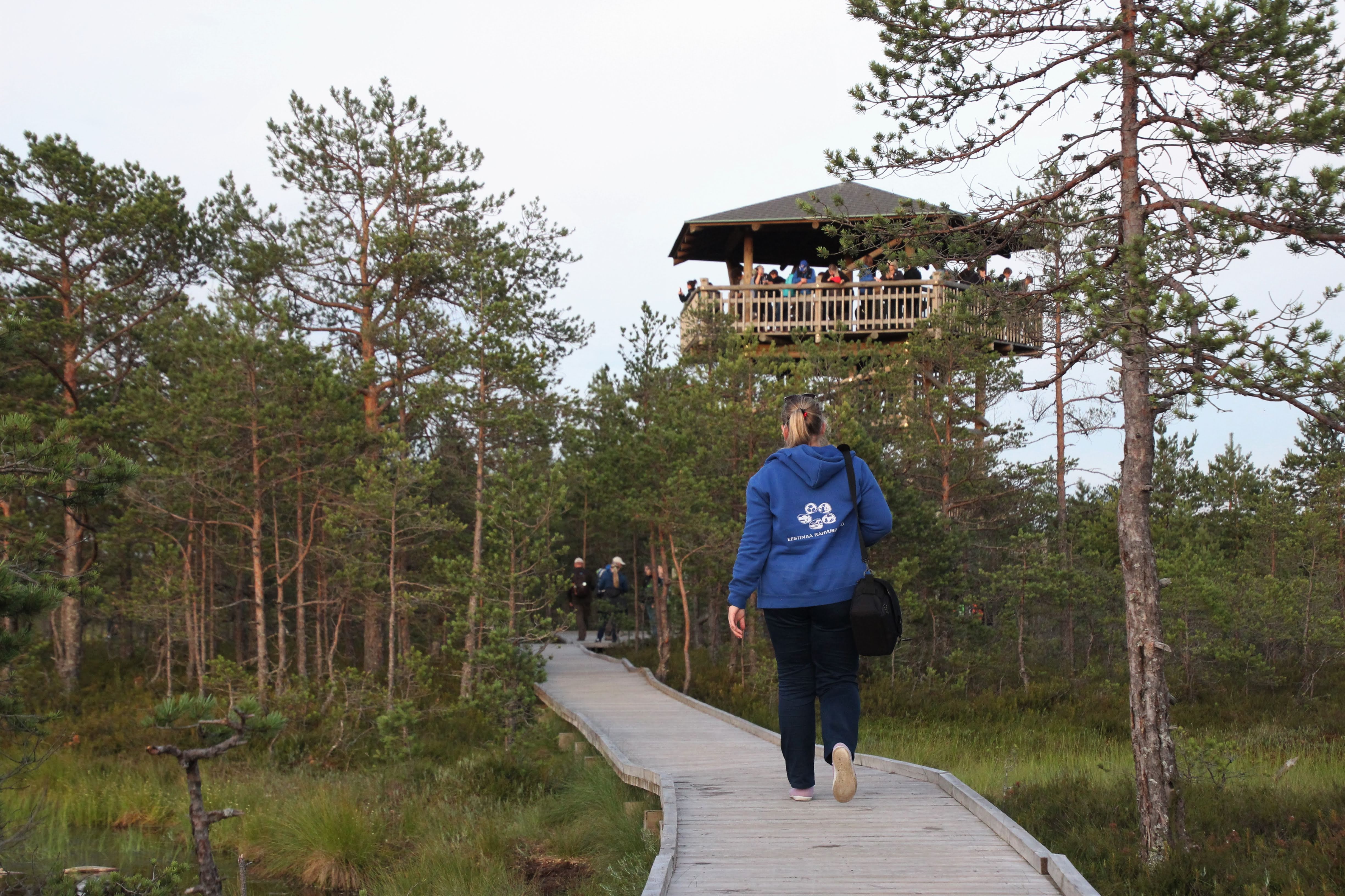 Inimene kõnnib laudteel