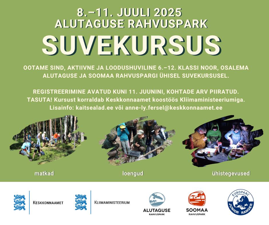Plakat tekstiga suvekursus