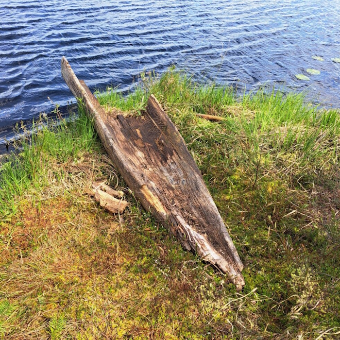 vee servas lebab pehkinud ühepuupaadi fragment