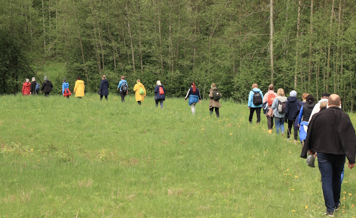 inimesed matkavad hanereas võilillesel heinamaal